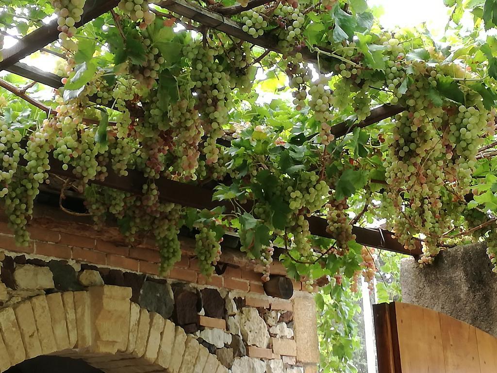 Agriturismo Il Melograno Riola Sardo Bagian luar foto