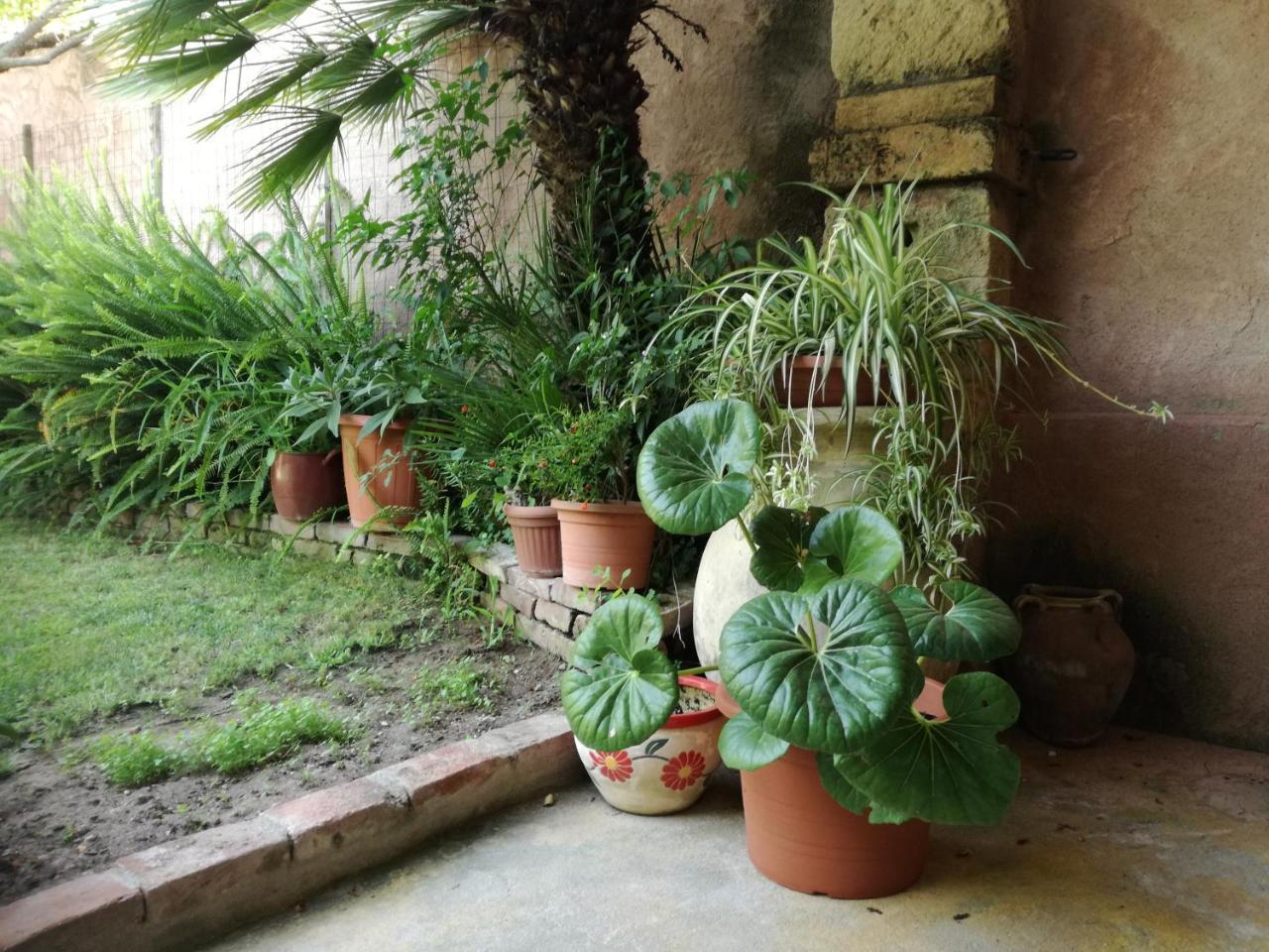 Agriturismo Il Melograno Riola Sardo Bagian luar foto